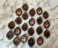 Resin Hair Clip - Baby's Breath - in Antique Ornate Frame