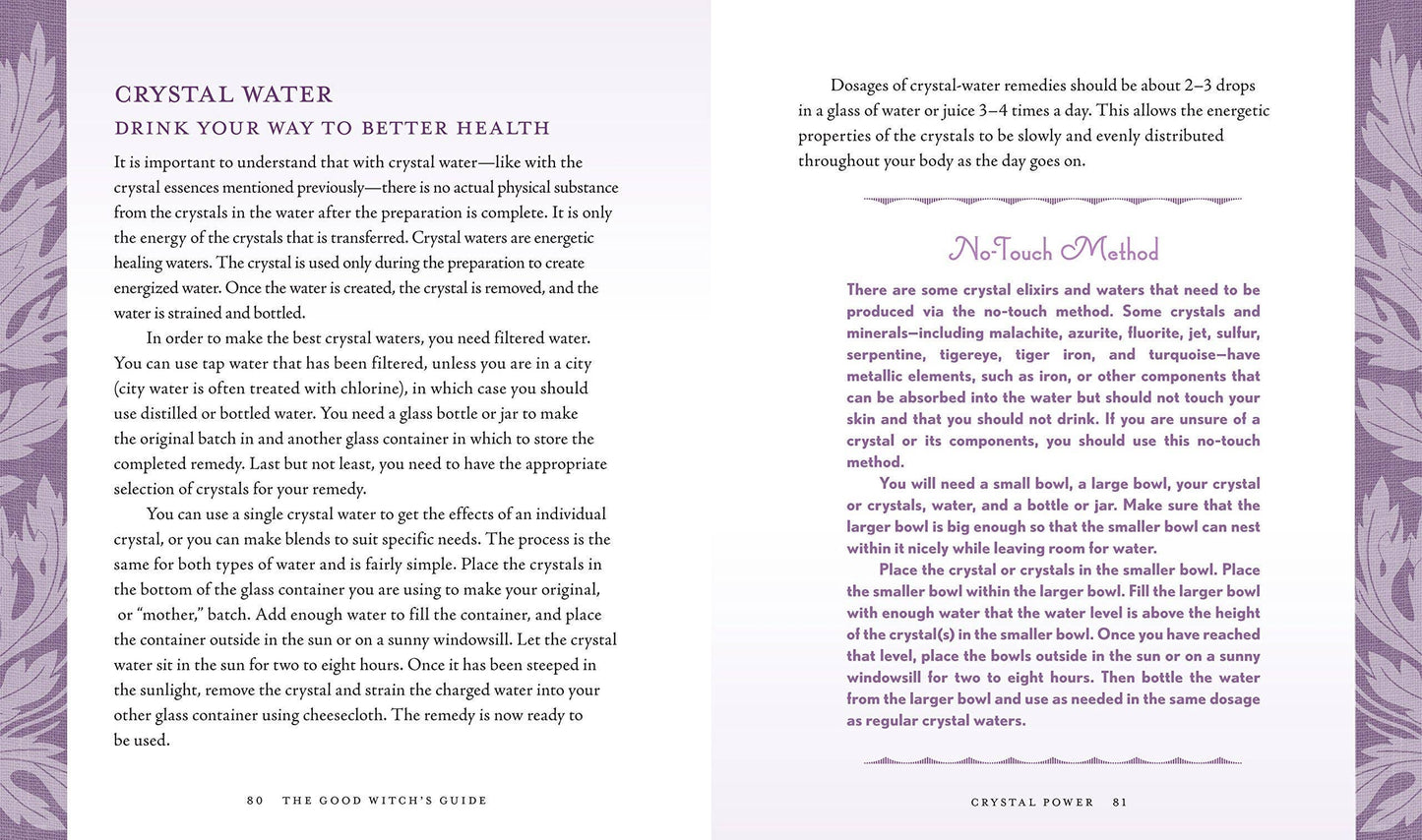 The Good Witch's Guide by Shawn Robbins (Hardcover)