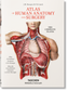 Atlas of Human Anatomy and Surgery by J.M. Bourgery & N.H. Jacob (Hardcover)
