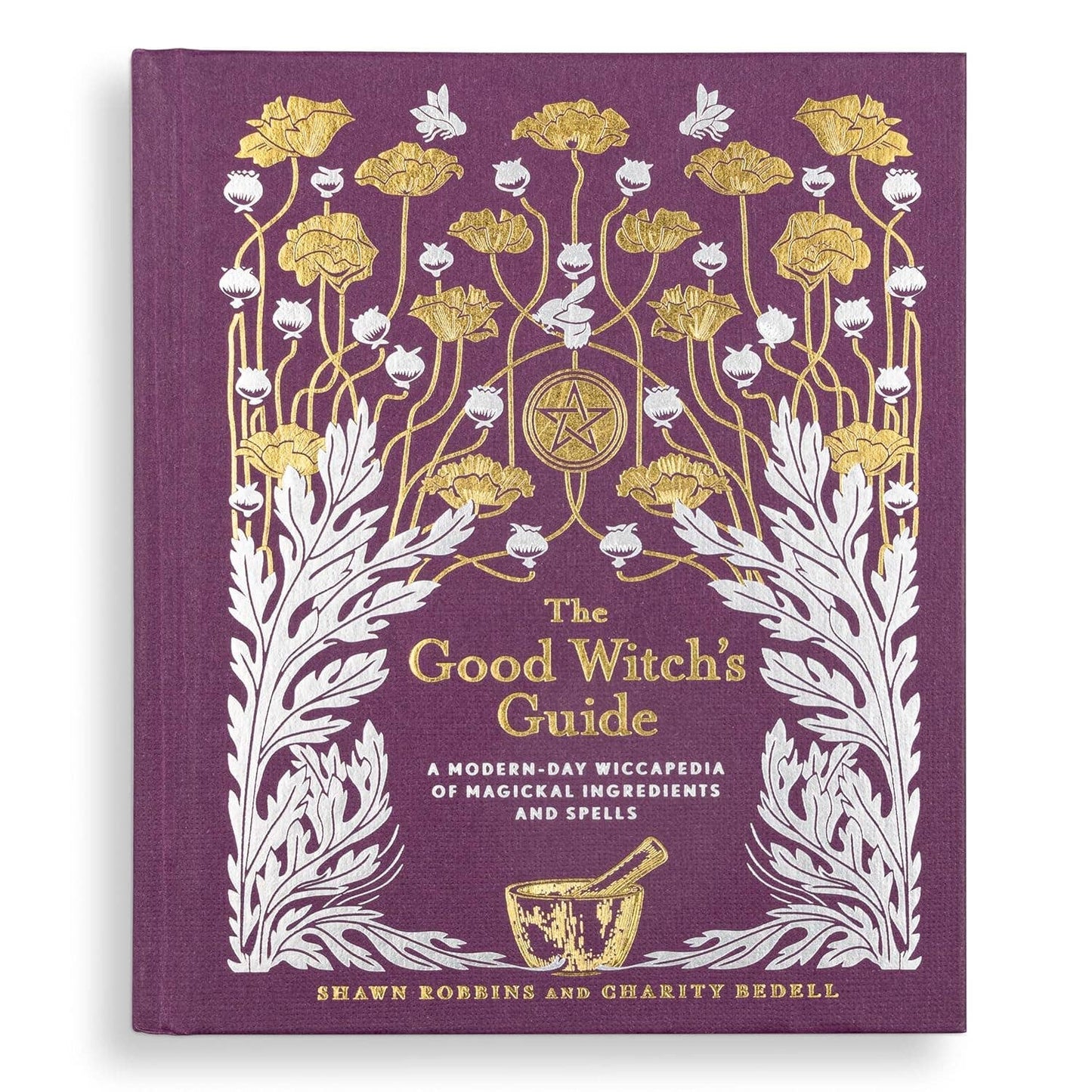 The Good Witch's Guide by Shawn Robbins (Hardcover)