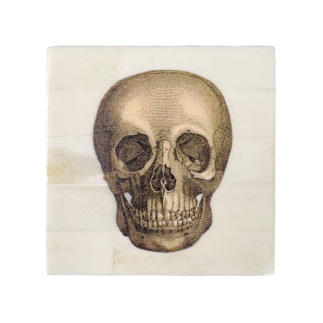 Bone Box with Printed Skull