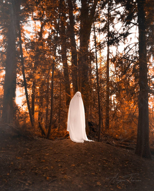 The Ghost Of You Fine Art Print by Alyssa Thorne