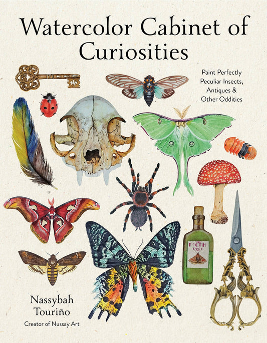 Watercolor Cabinet Of Curiosities by Nassybah Touriño (Paperback)