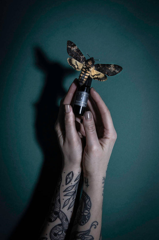 Papillon de Nuit Parfum Botanique - Lvnea