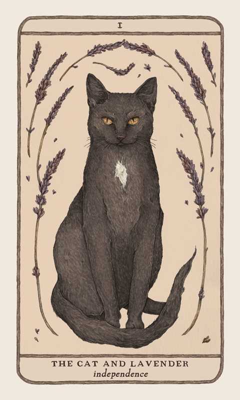 Woodland Wardens Oracle Deck by Jessica Roux