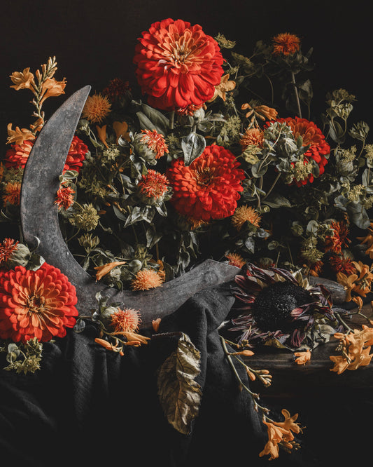 A Song For Autumn | Art Print by Alyssa Thorne