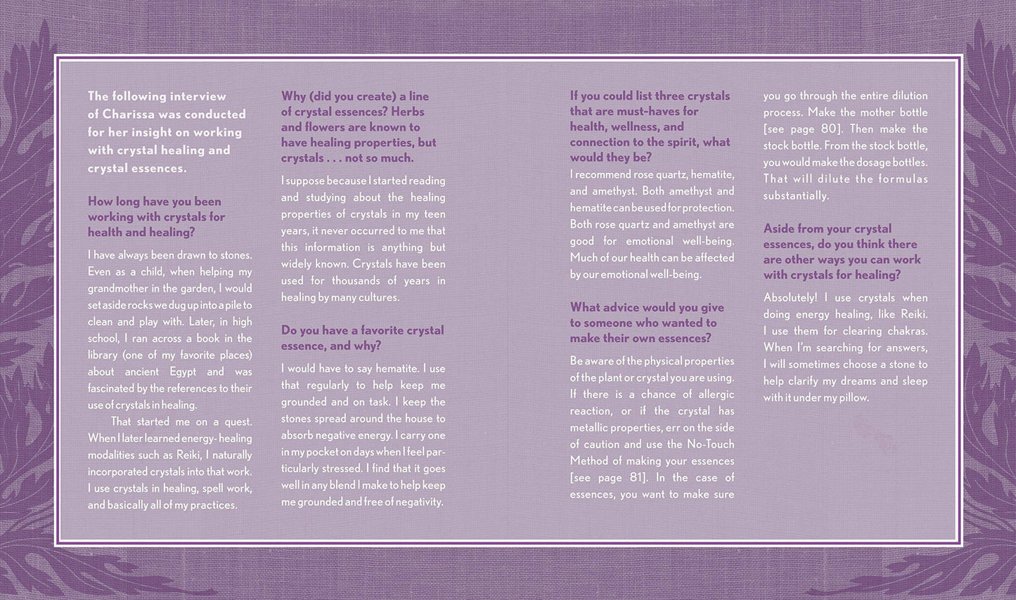 The Good Witch's Guide by Shawn Robbins (Hardcover)