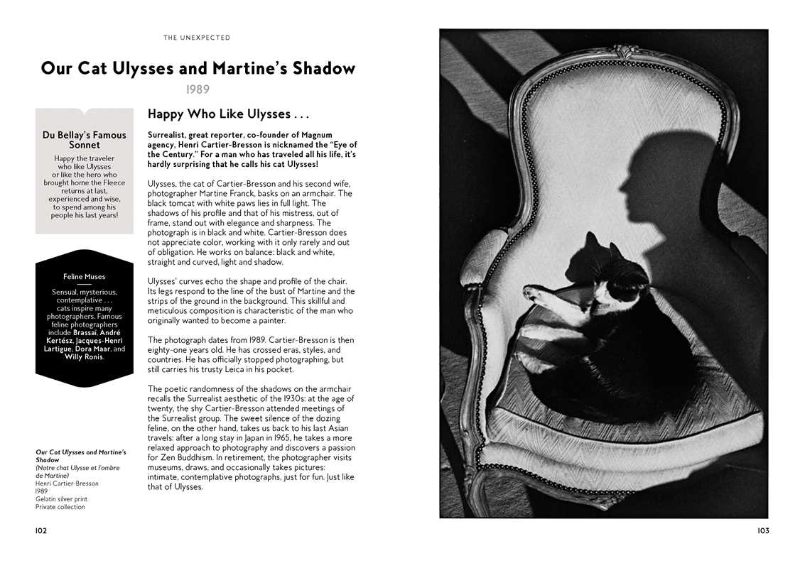 Cats in Art by Alix Paré (Hardcover)