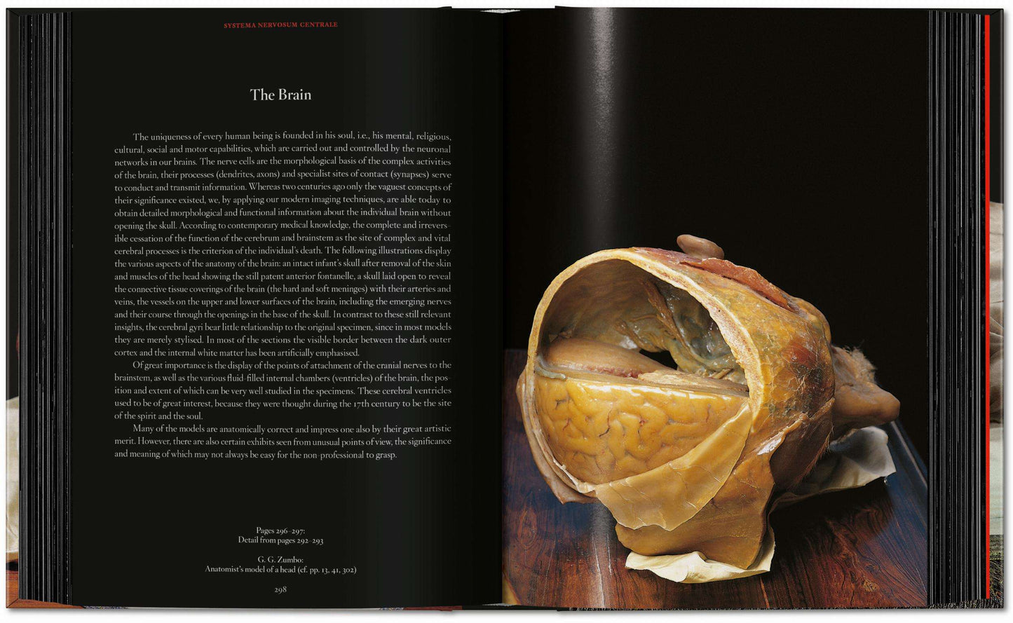Anatomical Waxes. 45th Ed. (German, French, English)