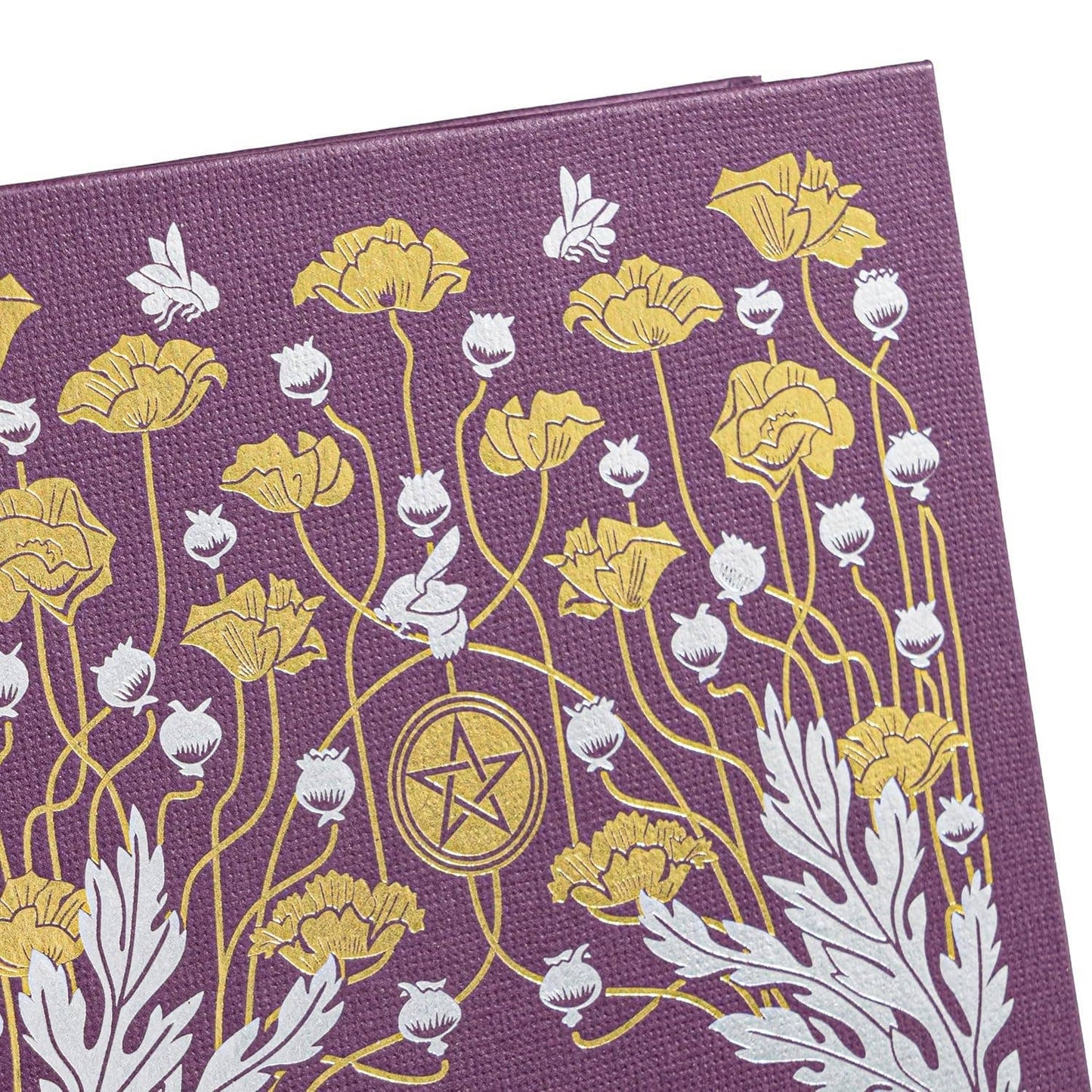 The Good Witch's Guide by Shawn Robbins (Hardcover)