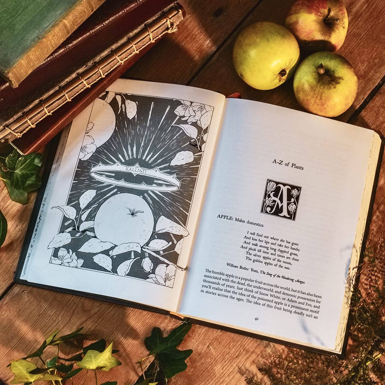 Botanical Curses and Poisons by Fen Inkwright (Hardcover)