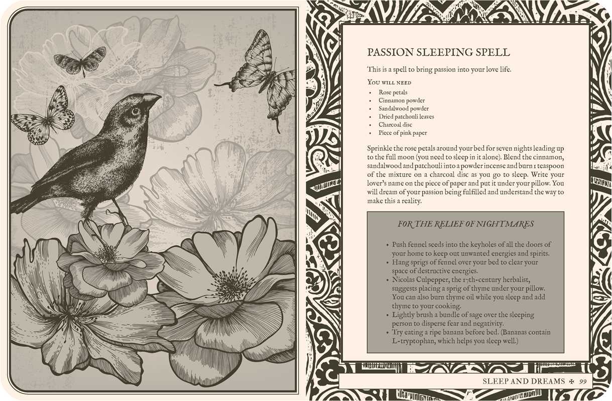 Lost Book of Spells by Fiona Horne (Hardcover)