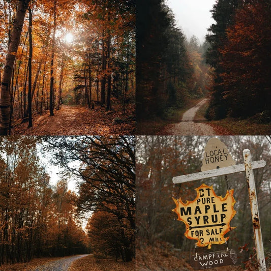 Forsaken Forest Perfume Balm by Last Rites