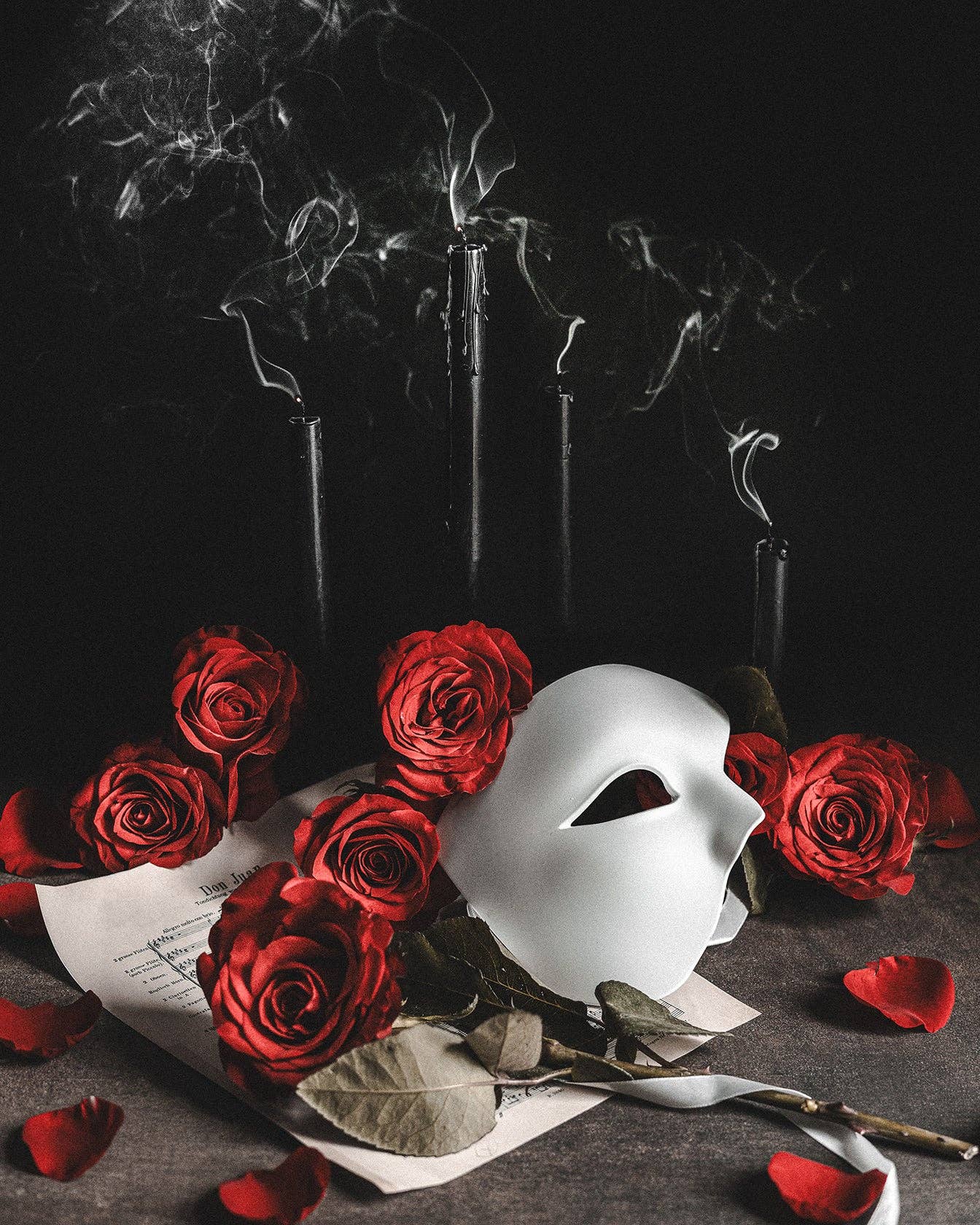 Music Of The Night Fine Art Print by Alyssa Thorne