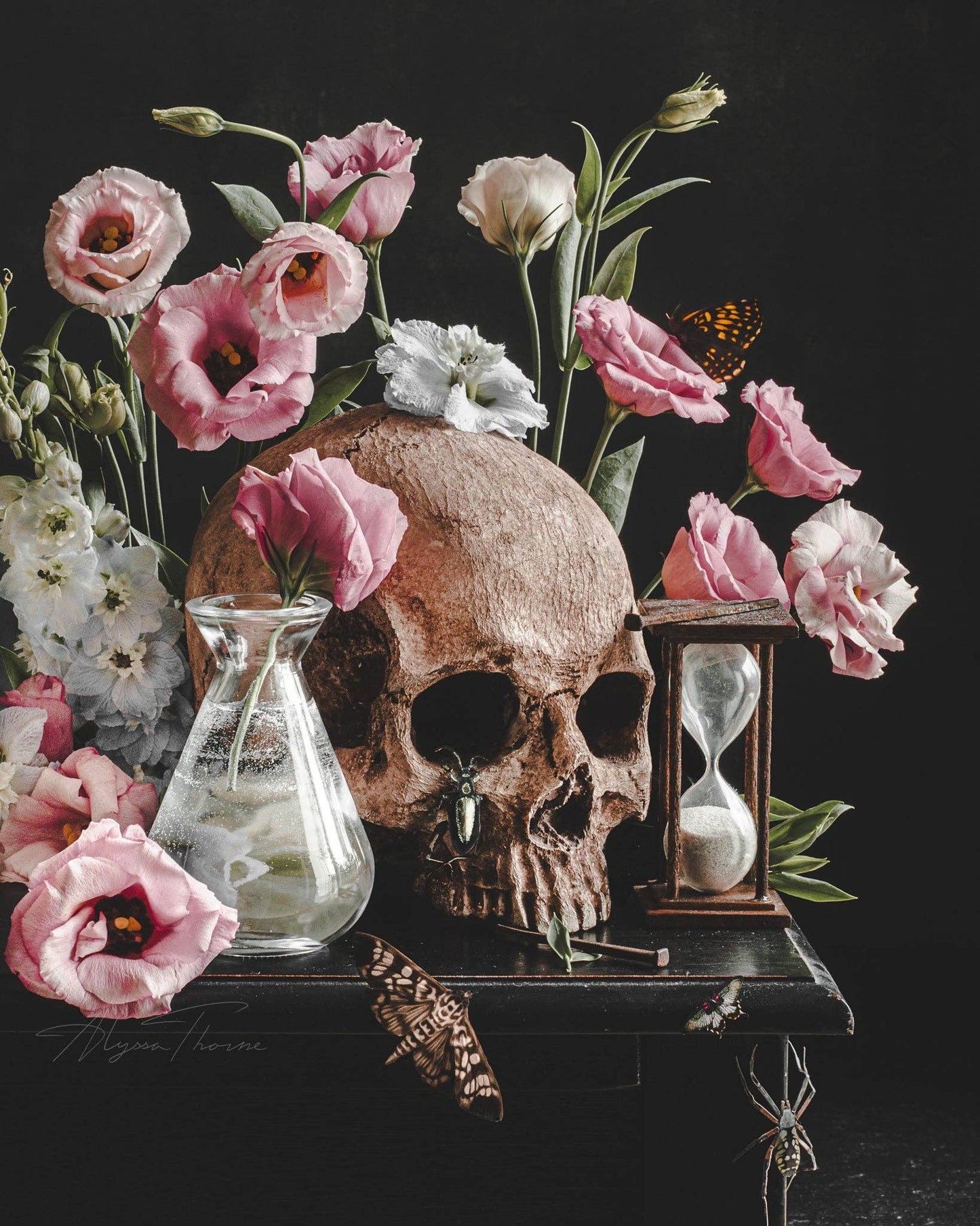 Vanitas I Fine Art Print by Alyssa Thorne