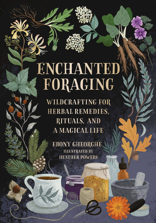 Enchanted Foraging by Ebony Gheorghe (Hardcover)