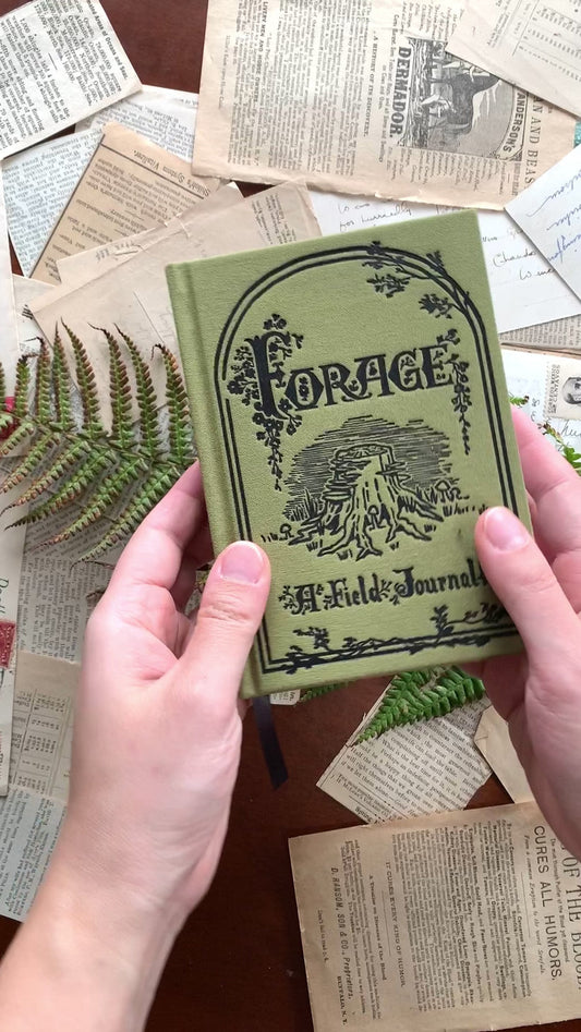 The Antiquarian Collection - The Forage Field Journal