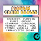 Pumpkin Cream Brulee |  Backflow Incense Cones