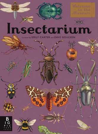 Insectarium (Hardcover)