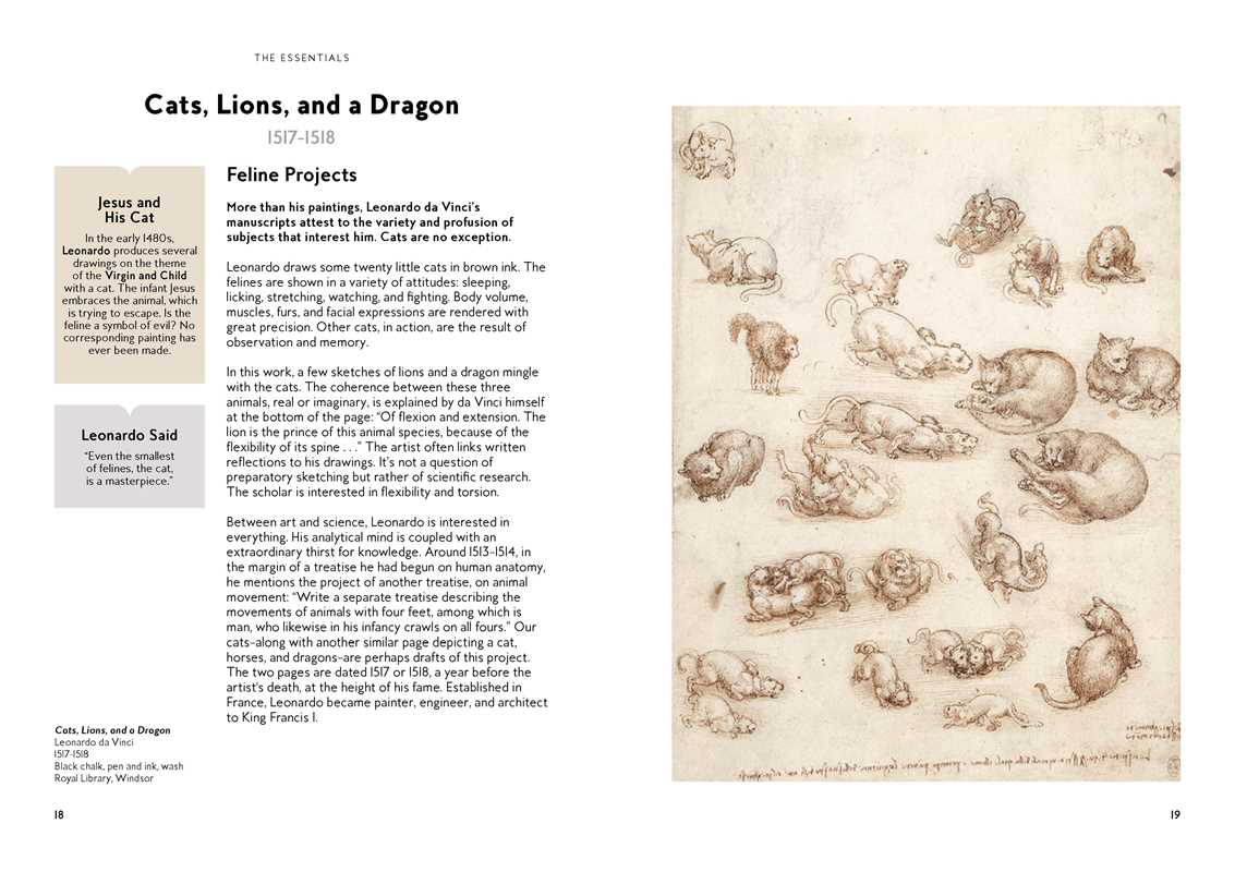 Cats in Art by Alix Paré (Hardcover)