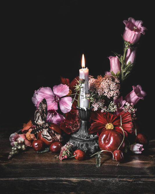 Like A Moth To A Flame Fine Art Print by Alyssa Thorne