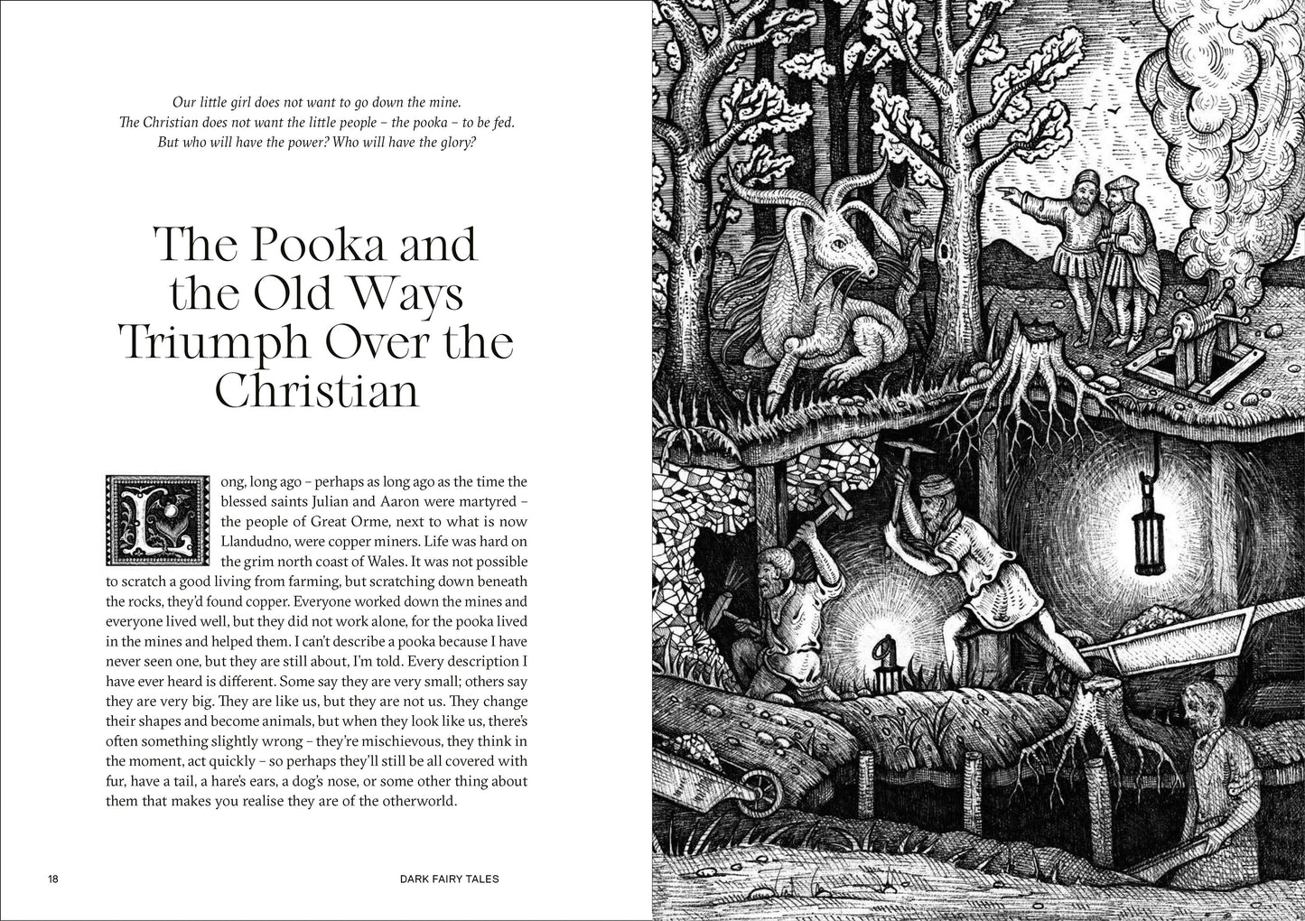 Dark Fairy Tales by Viktor Wynd (Hardcover)