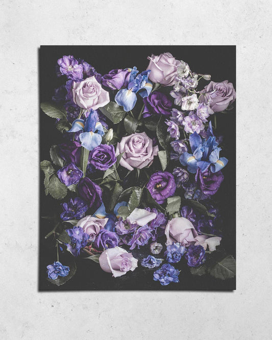 Oasis Fine Art Print by Alyssa Thorne