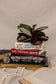 Jane Austen Stacked Book Planter