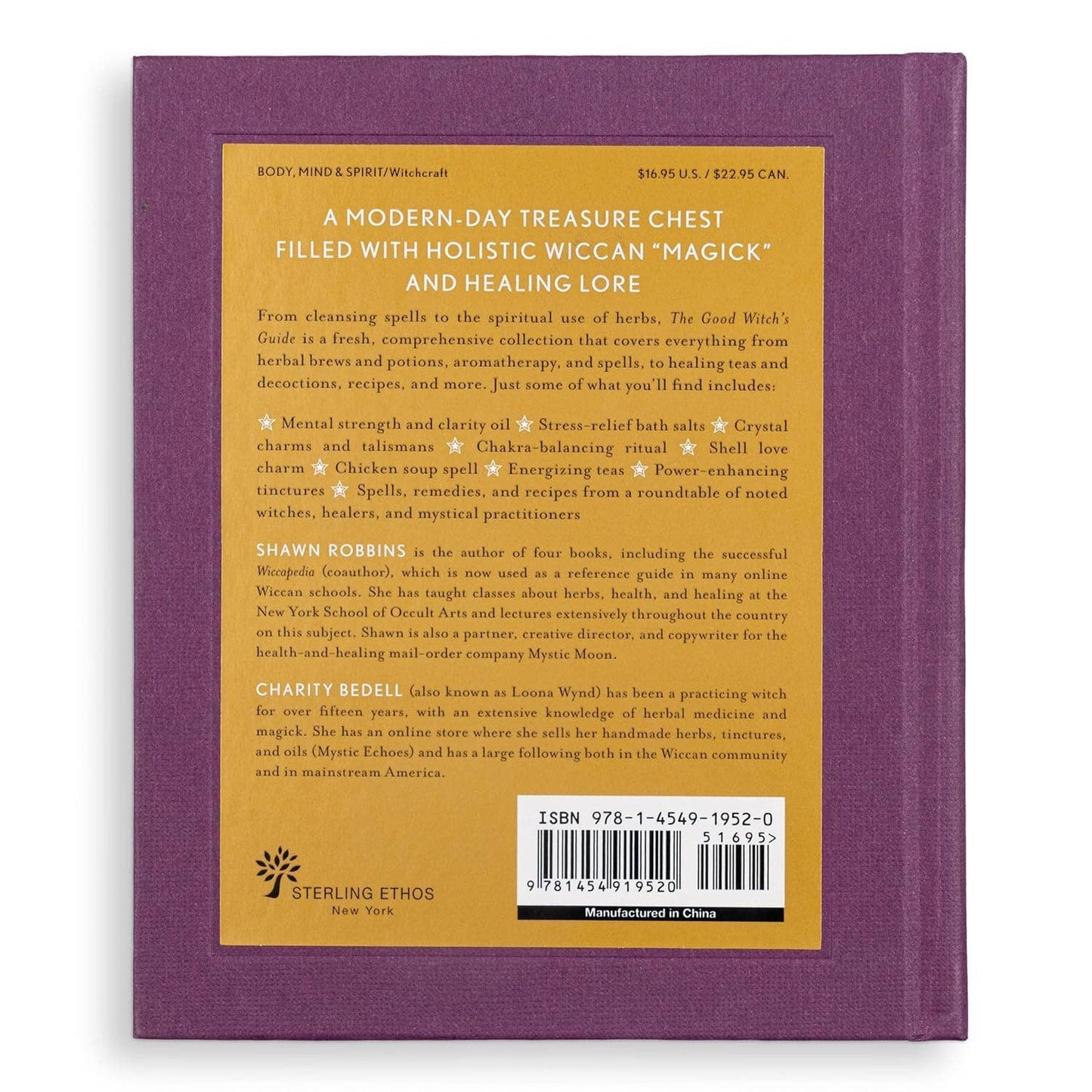 The Good Witch's Guide by Shawn Robbins (Hardcover)