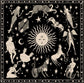It's In The Stars Poly Silk Scarf Collection by Bill Crisafi