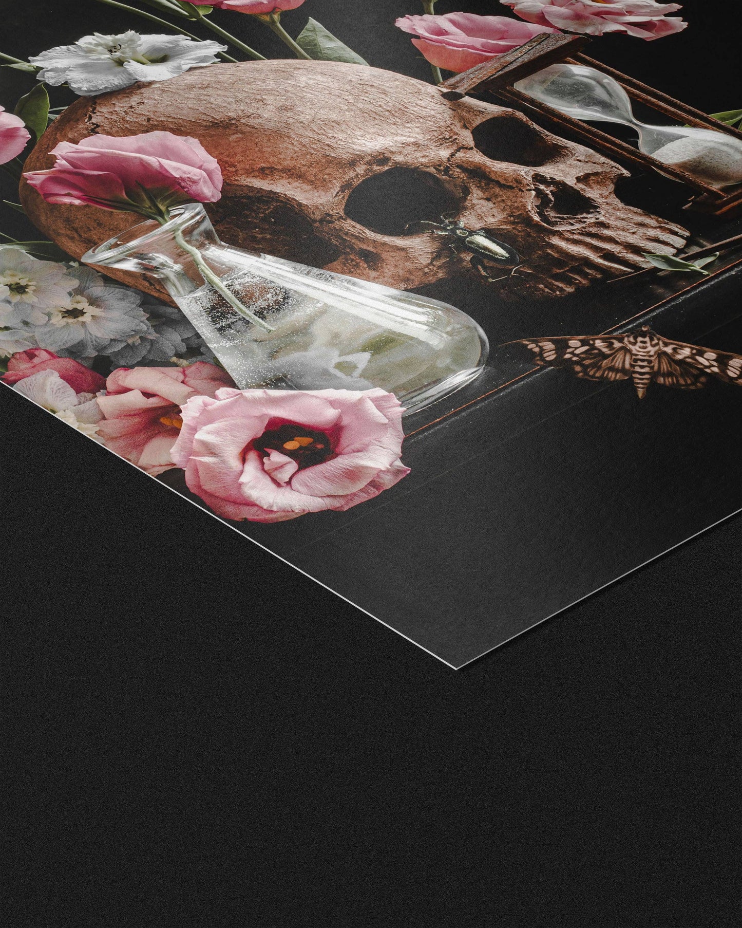 Vanitas I Fine Art Print by Alyssa Thorne