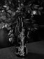 The Evil Garden Room Spray by Heretic Parfum
