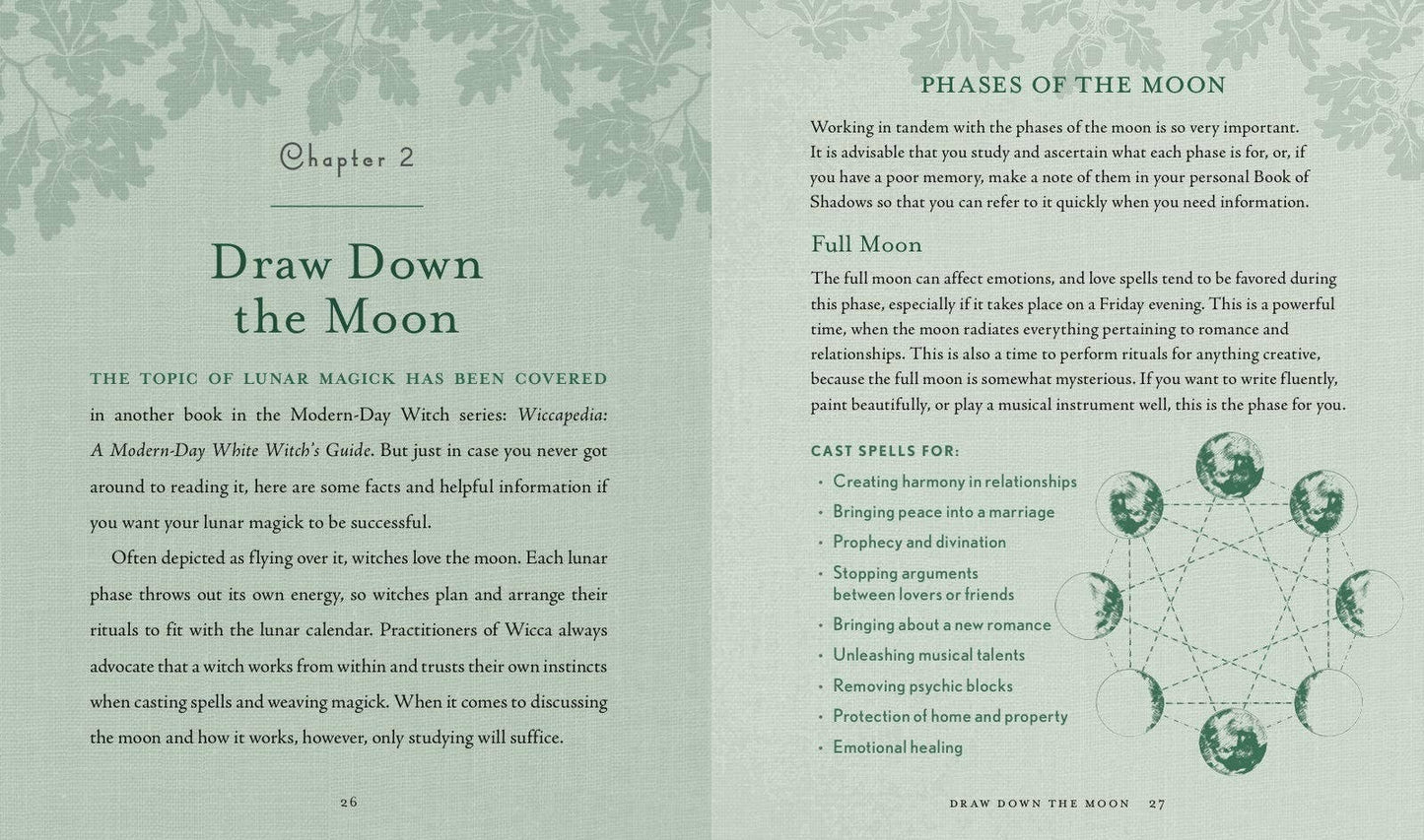 The Witch's Way by Shawn Robbins (Hardcover)