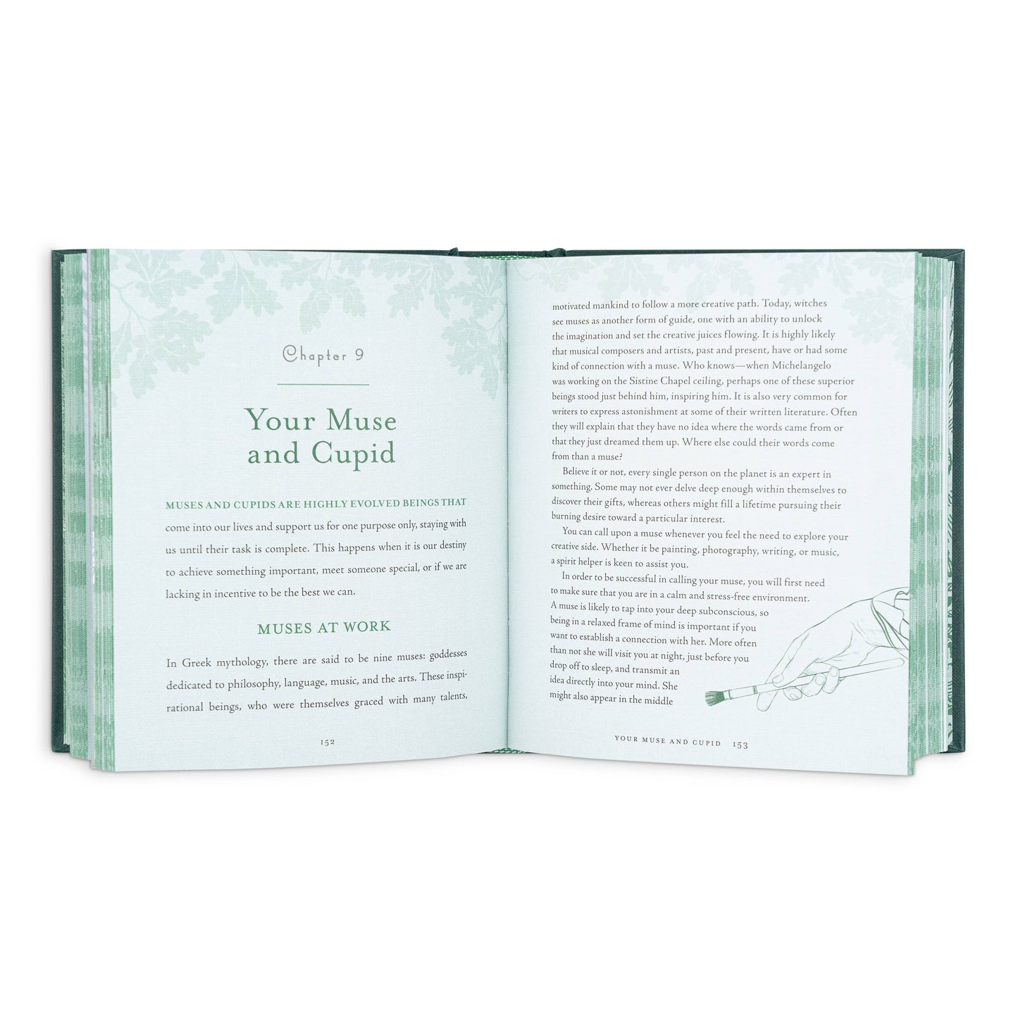 The Witch's Way by Shawn Robbins (Hardcover)