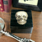 Black Horn Box with Printed Skull