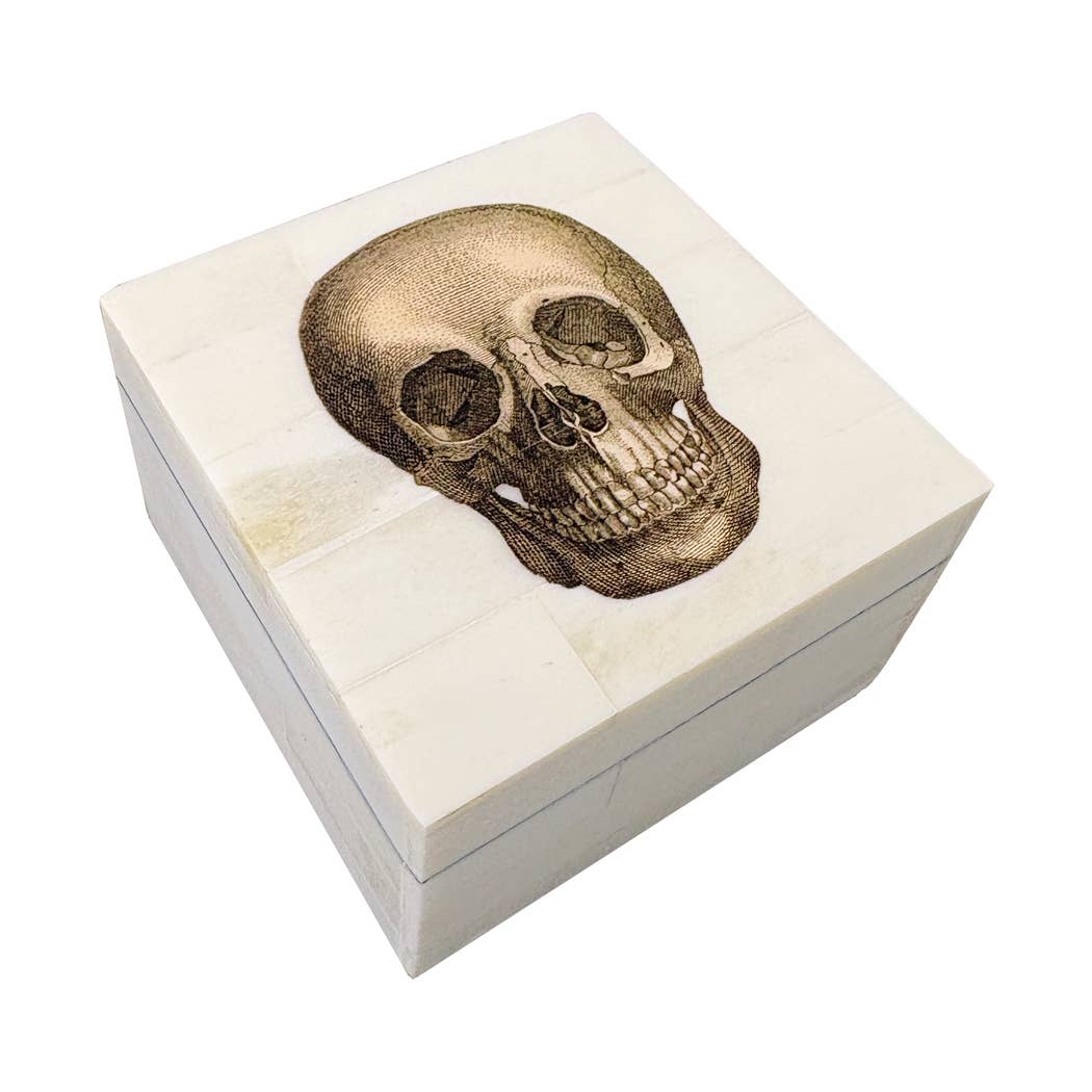 Bone Box with Printed Skull