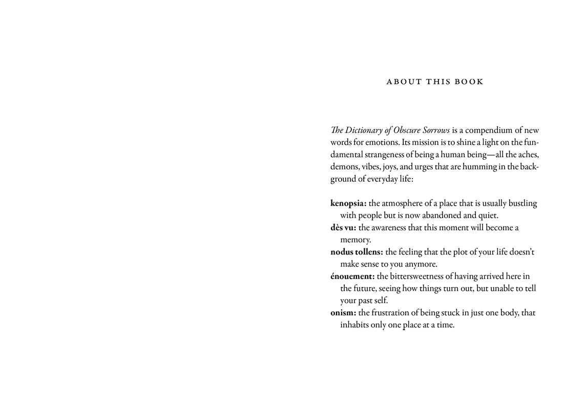 Dictionary of Obscure Sorrows by John Koenig