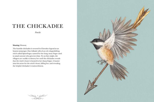 Ornithography by Jessica Roux (Hardcover)