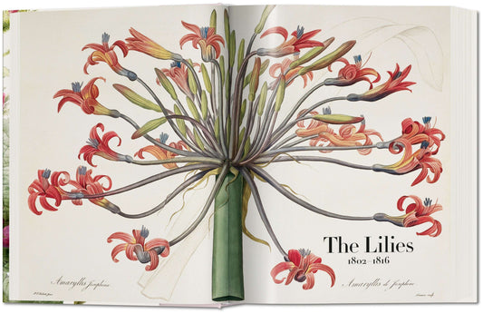Redouté. The Book of Flowers (German, French, English)