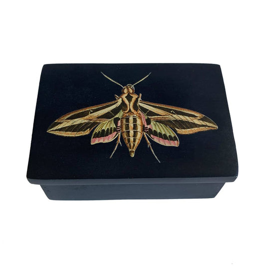 Sphinx Moth Black Soapstone Trinket Box