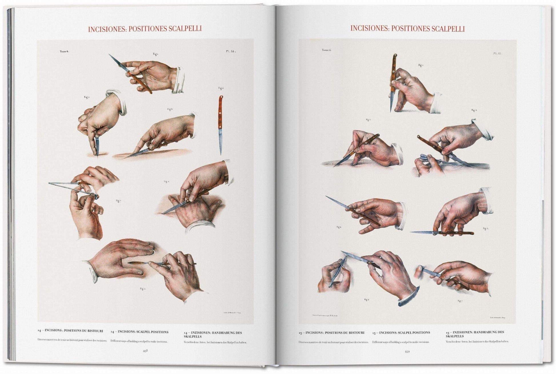 Bourgery. Atlas of Human Anatomy and Surgery (German, French, English)