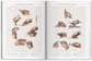 Bourgery. Atlas of Human Anatomy and Surgery (German, French, English)