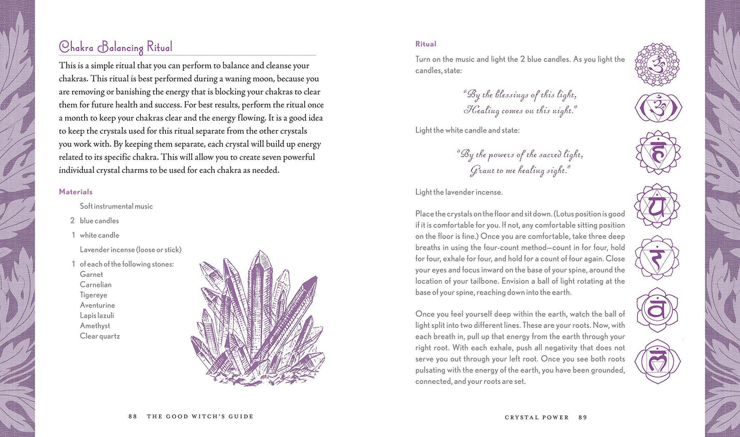 The Good Witch's Guide by Shawn Robbins (Hardcover)