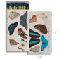 Blue Butterflies Safety Matches