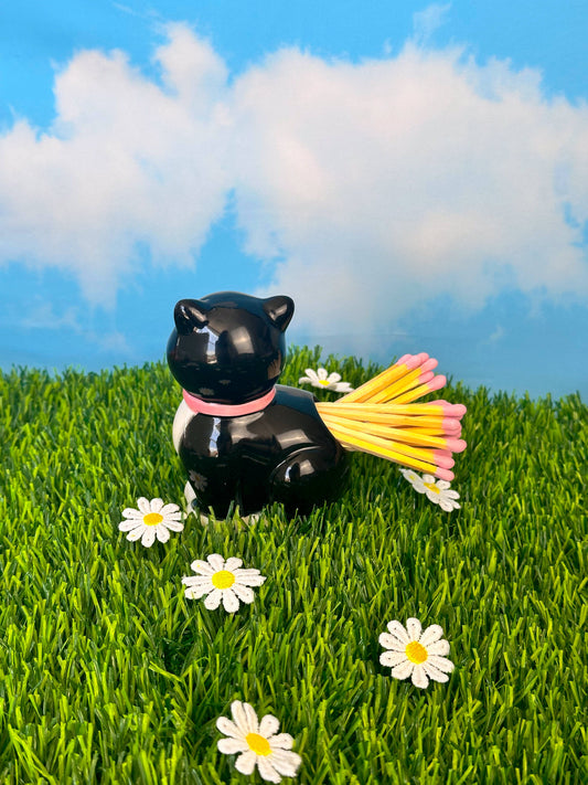 Tuxedo Kitty Match Striker