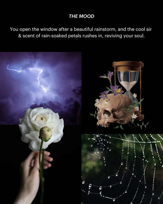 Decay Dreaming ~ Perfume Oil (Rain & Honey Melon)