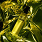 DIRTY LEMON BODY MIST