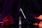 Our Darling Lip Gloss