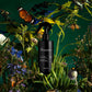 THE ENTOMOLOGIST