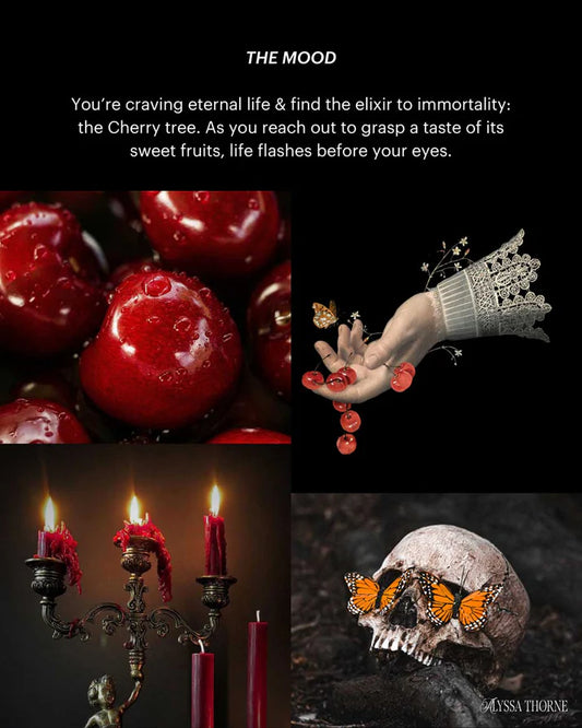 Fruit of the Gloom ~55 Hour Candle by Graveyard Wanders